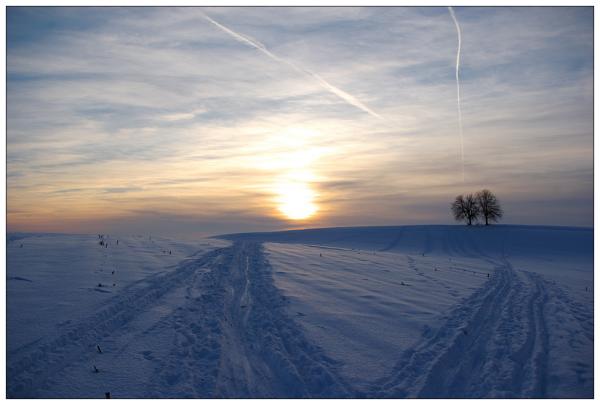 Hochgeladene Bilddatei
